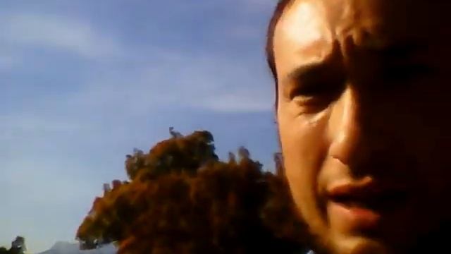 Бал хризантем в Никитском ботаническом саду смотреть онлайн