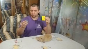 Как лечить кролика если кролик не ест и лежит вялый, непонятные симптомы