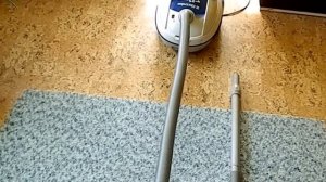 Electrolux ErgoSpace XXL130