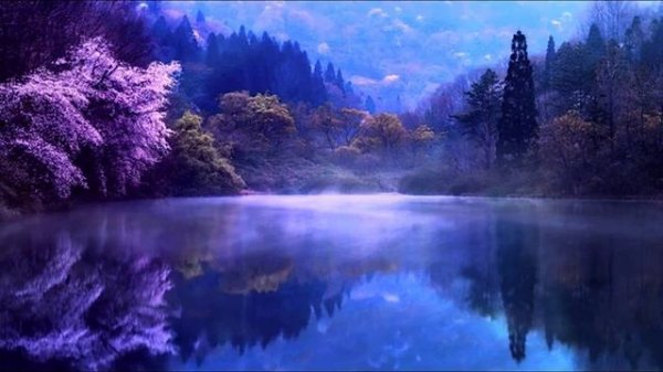 Meditation Relaxing Music Free Download | Royalty Free Meditation Relaxing Music Free Download mp3