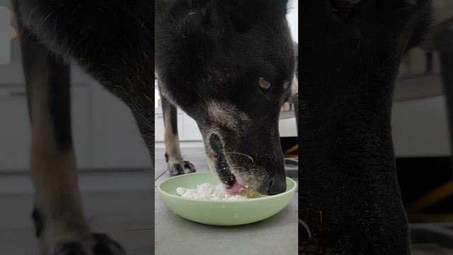 Пучок петрушки