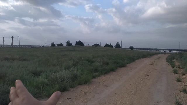 Цветут железняк,шандра,гармала и другие медоносы северного Крыма. смотреть онлайн