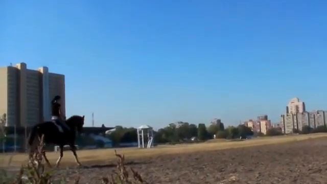 Айвае въезд рысь.MP4 смотреть онлайн