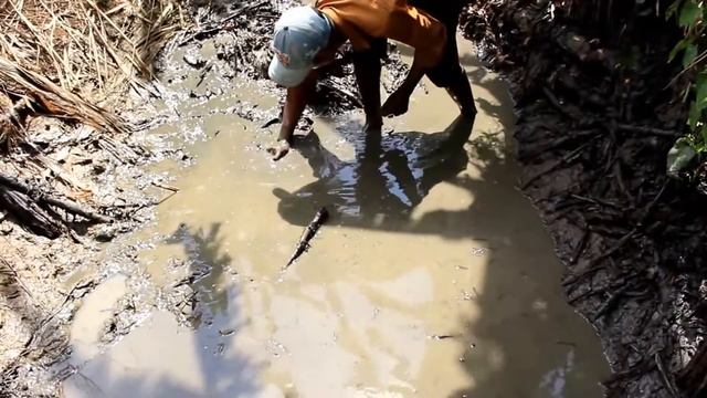 Рыбалка в Камбодже легко #2 смотреть онлайн