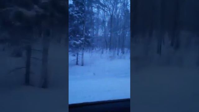 Бахори масква 04 03 2023 смотреть онлайн