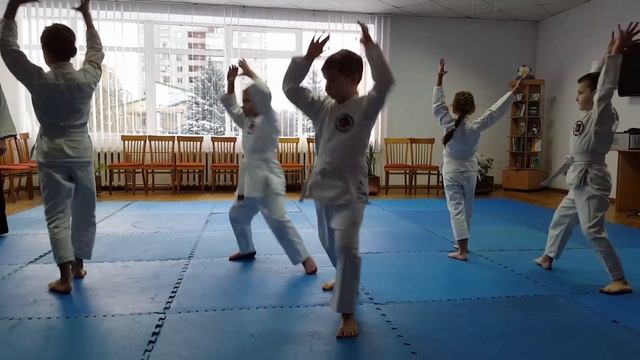 Показові з Айкідо на благодійному святі "Я помагаю Миколаю". (Aikido Yoshinkan demonstration) смотреть онлайн