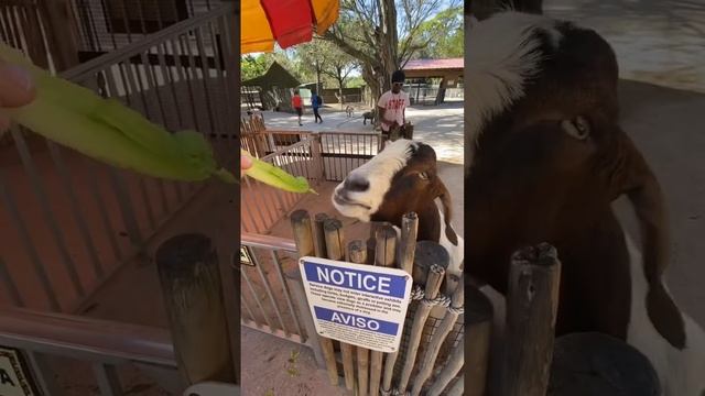 То, что делает нас счастливее!? #счастье #семья #природа смотреть онлайн