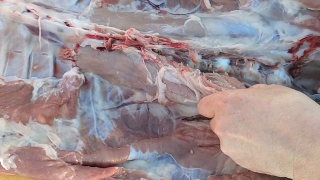 ЗАБОЙ ? НЕМНОГО хитростей ДЛЯ облегчения РАЗДЕЛКИ смотреть онлайн