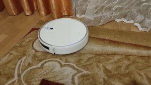Установил озвучку Домовёнок Кузя на робот пылесос Xiaomi Mi Robot Vacuum - Mop 2