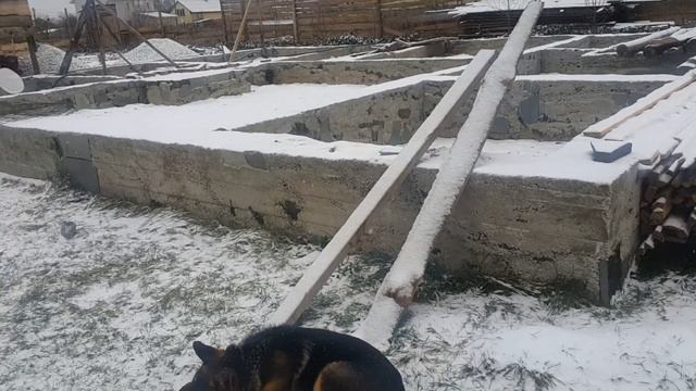 Как зимует фундамент и цоколь? смотреть онлайн