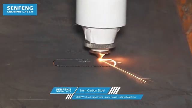 Лазерный станок SENFENG  с наклонной головой