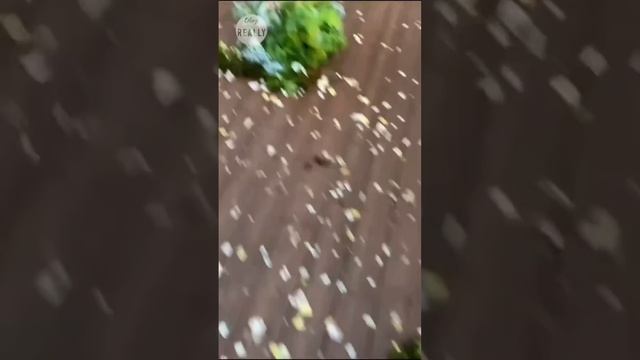 Вика смотреть онлайн