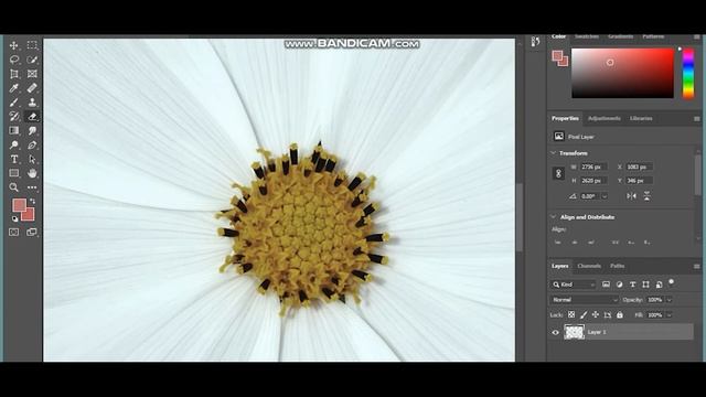 Work as a professional video editor. PHOTOSHOP and PREMIERE PRO at the same time. No need for error смотреть онлайн