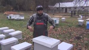 Как отработал 7-ми рамочный улей из ППС Обзор 7 ми рамочного улья от канала Белорусское Пчеловодств