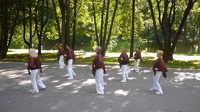 "О-Ля-Ля"- Dancing line(Style -Danger Twins), г.Витебск (Беларусь) смотреть онлайн