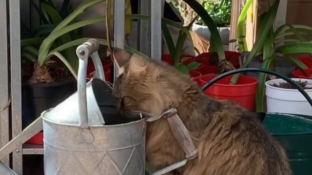 5 вещей, которые нельзя фотографировать. смотреть онлайн