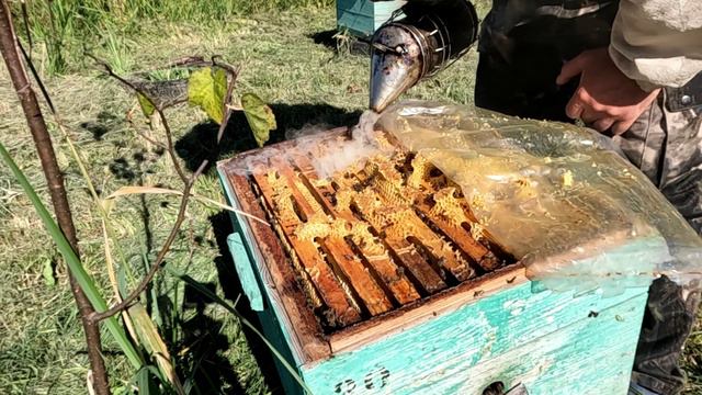 Домашний точок на 6 сентября - 1 семья смотреть онлайн