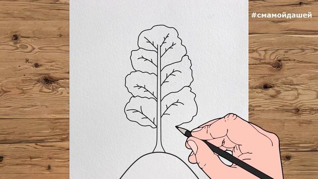 Рисование "Осенняя осина" смотреть онлайн