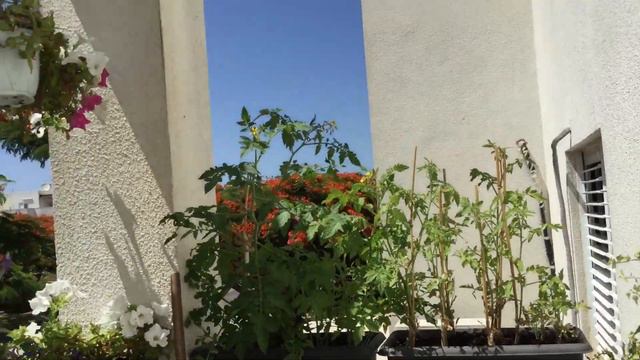 Какой прекрасный день смотреть онлайн