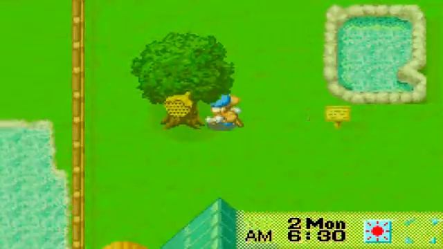 Let's Play Harvest Moon Friends Of Mineral Town Part 1 We Get a Farm смотреть онлайн