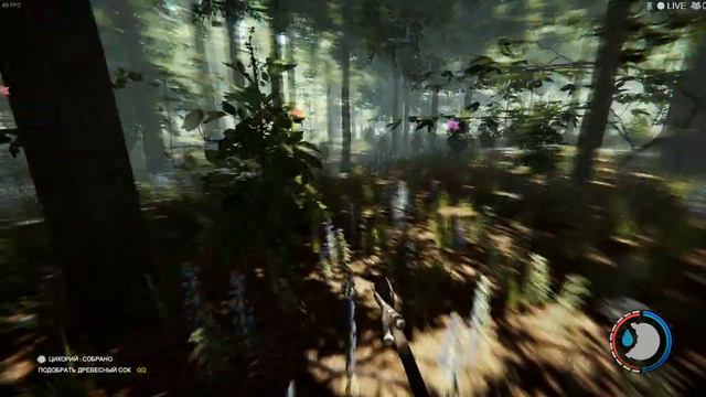 The Forest. Part 8. Тайная пещера и арбалет. смотреть онлайн