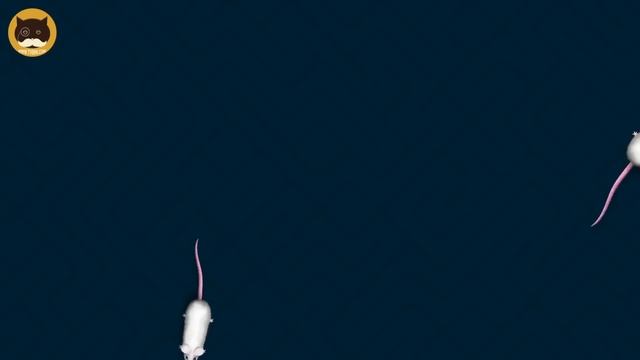 CAT GAMES - Catching White Mice! Mouse Video for Cats to Watch | CAT & DOG TV. смотреть онлайн