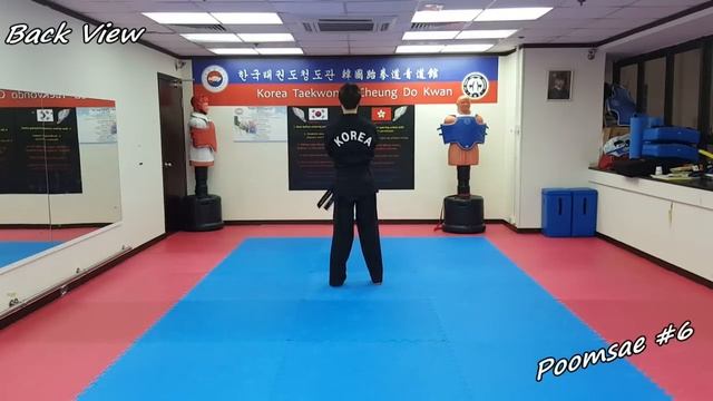 Taekwondo - Poomsae 6 (Yook Jang) Slow-motion & Mirror смотреть онлайн