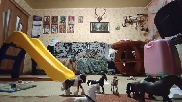 первый день на ранчо