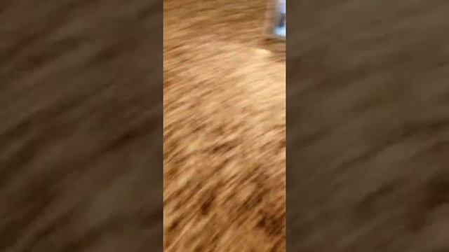 Eufy Spaceview Baby Monitor And Camera (pt 2) 2 Cameras