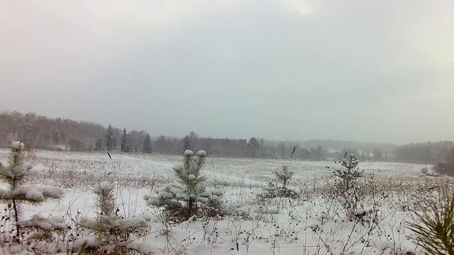 Таймлапс поле. Октябрь 2016. Томская область смотреть онлайн