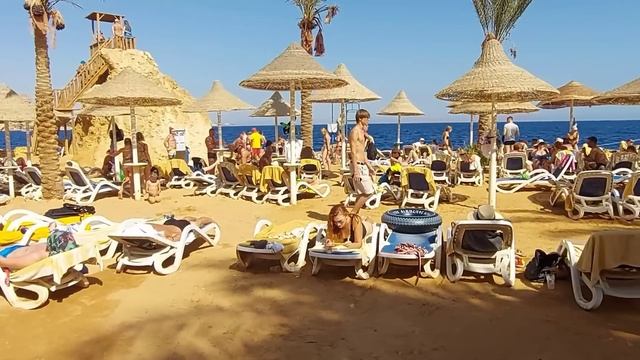 Египет ОСЕНЬЮ ?? Стоит ли лететь на ОТДЫХ в Египте в СЕНТЯБРЕ, ОКТЯБРЕ или НОЯБРЕ. Плюсы и Минусы смотреть онлайн