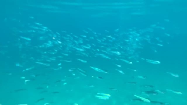 Cannes, O’Key Beach.mp4 смотреть онлайн