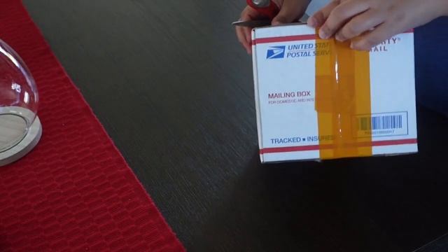 Hoya GPS 7240 And Hoya Lyi