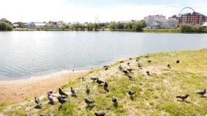 Озеро Лебяжье