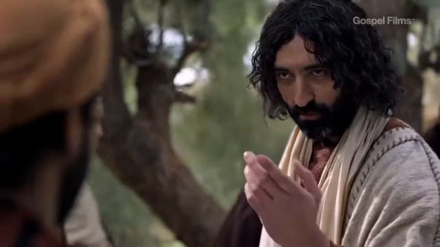 TEST PALM SUNDAY смотреть онлайн