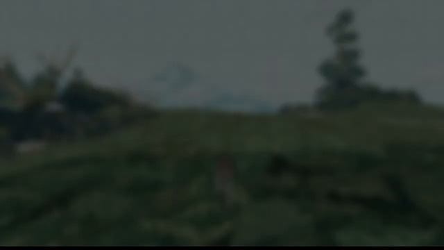 Shelter 2 #1 "Первый взгляд" Динамики потише) смотреть онлайн