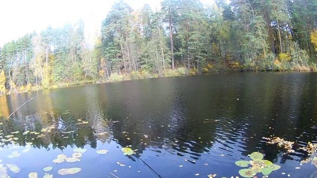 Перегружаем спинниг кайда 12гр до 24гр смотреть онлайн