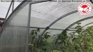 Теплица тюльпан с открывающейся крышей и боками - самая лучшая теплица!