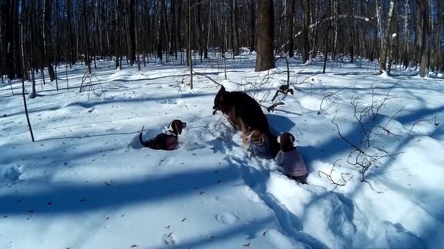 Бигли Метрогородка 2018 смотреть онлайн