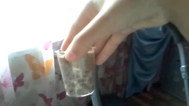 Вирощую траву для хомячка смотреть онлайн