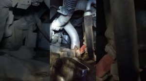 где находится масляный фильтр NISSAN PRIMERA P12 2005 г.в.