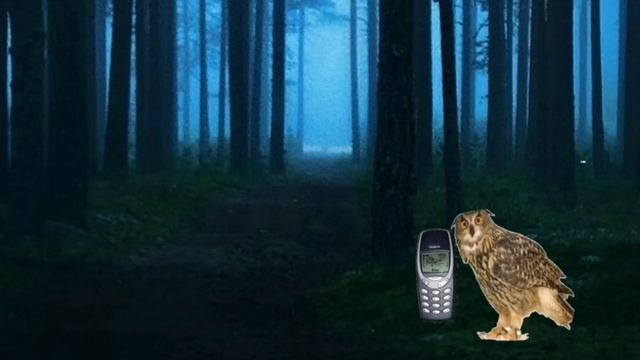 Большой сборник всех видео про Катю и Мясорубку зайчик/tiny bunny смотреть онлайн