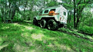 УВЕЗЛИ НА ПОЛИГРАФ ПРЯМО С ТАЙГИ. НОВЫЙ ЖИЛЕЦ ЗАБЛУДИЛСЯ. Поехал качать МЕД!