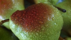 Gerber ®. Все для малюка!