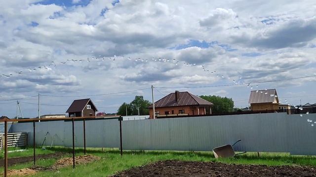 Абиссинская скважина в Самарской области смотреть онлайн