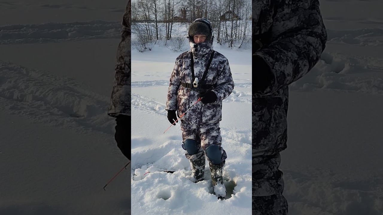 Зимняя рыбалка в костюме Медведь от компании Crodis. #рыбалка #shortvideo #fishing #природа смотреть онлайн