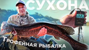 Мой первый ТРОФЕЙ пойман! Щука рвёт приманки в клочья. Рыбалка на реке Сухона. Устье-Вологодское.