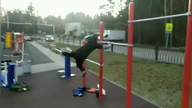 Ноконецто смог сделать видос смотреть онлайн