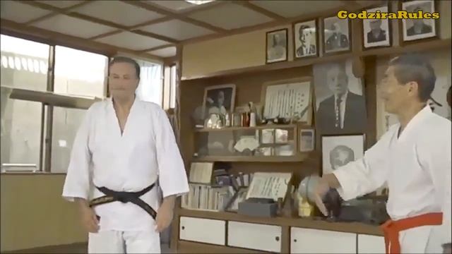 Okinawa Karate