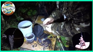 Рыбалка на донки,как найти налима на реке осенью.